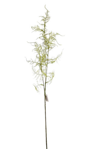 Vara Esparraguera 86cm