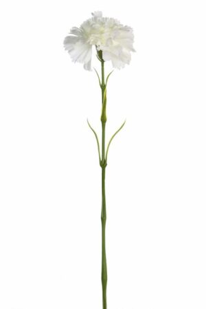 Vara Clavel 58cm Blanco