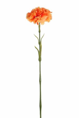 Vara Clavel 58cm Naranja