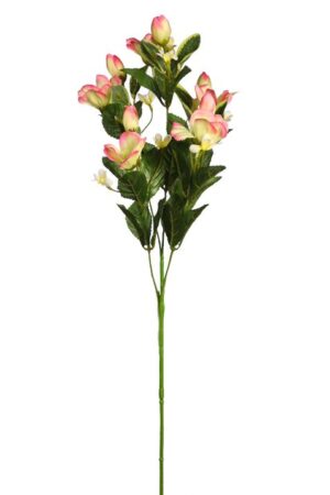 Vara Magnolia 80cm Rosa