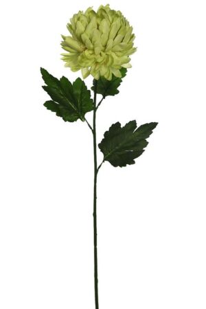 Vara Mun 70cm Verde