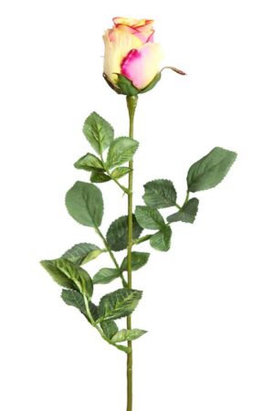 Vara Rosa 70cm Rosa
