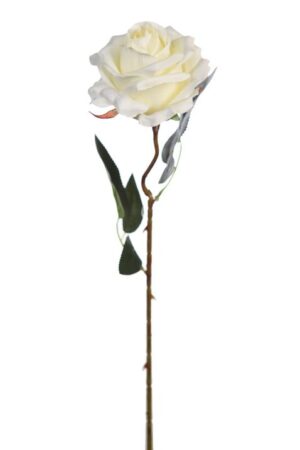 Vara Rosa 50cm Blanco