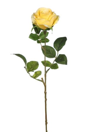 Vara Rosa 61cm Amarillo