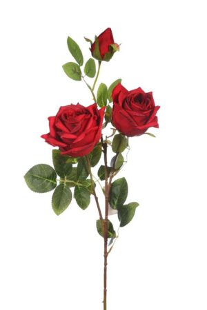 Vara Rosa 70cm Rojo