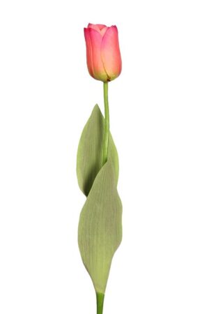 Vara Tulipan 56cm Salmón