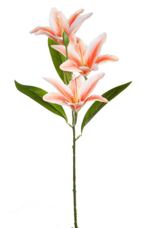 Vara Lilium 65cm Salmón