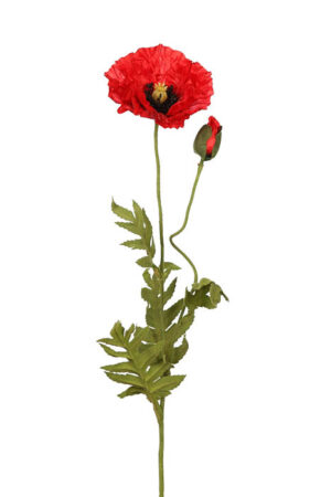Vara Amapola 70cm