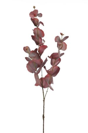 Rama Eucalipto 78cm Lila