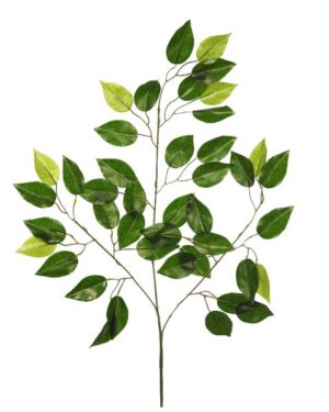 Hoja Ficus 58cm