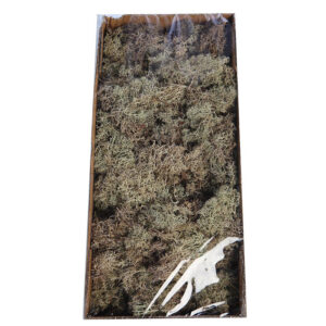 Musgo Finlandes Preserv. 400g Verde Oscuro