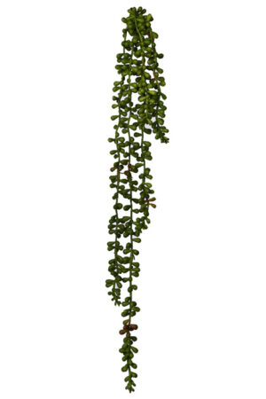 Mata Colgante Crasa 58cm Verde