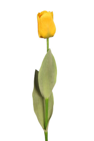 Vara Tulipan 56cm Amarillo