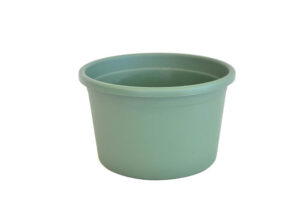 Tarrina 22x14 cm Verde