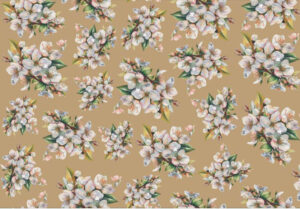 Papel Kraft Eco. Almendro 62x100
