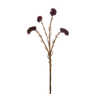 Vara Statice 65cm Burdeos