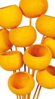 Bell Cup 40cm Amarillo