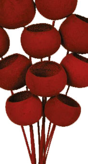 Bell Cup 40cm Rojo