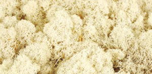Musgo Finlandes Pres. 350g Blanco