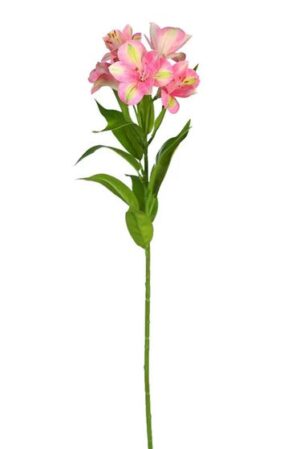 Vara Alstroemeria 73cm Rosa