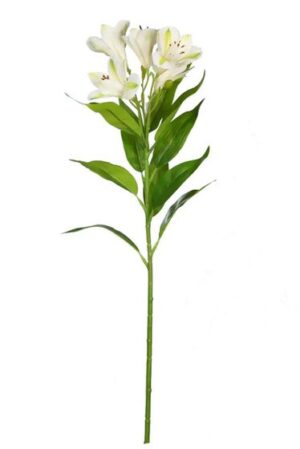 Vara Alstroemeria 73cm Crema