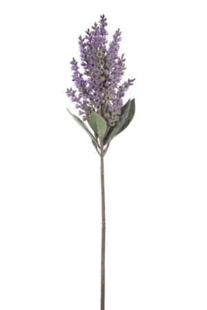 Vara Lavanda 50cm