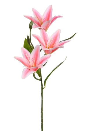 Vara Lilium 65cm Rosa