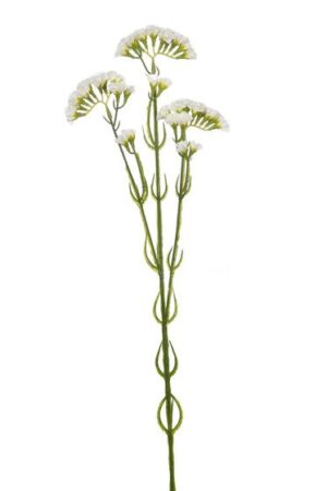 Vara Statice 62cm Blanco