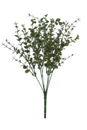 Mata Eucalipto 30cm Burdeos
