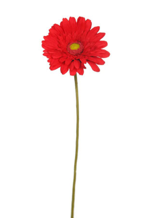 Vara Gerbera 65cm Rojo