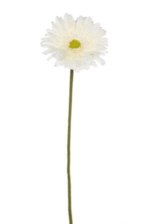 Vara Gerbera 65cm Crema