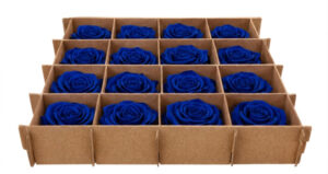 Cabeza Rosa Preservada Azul (16 u.)