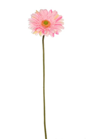 Vara Gerbera 65cm Malva