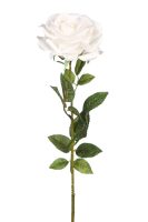 0993600477e7b183b97d9d97f74c9bc0-car-vid2184