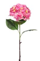 0d6430f70e1a497fa40c77dc557c491e-car-vid540