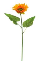 0d7cf50873afc5dd8347927fc82acbf4-car-vid1917