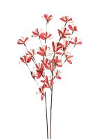 0dd8d87b61765cb658bad9b5114c88ec-car-vid2648