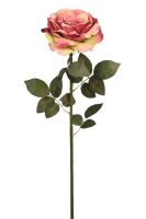 11f0fe6e3273b4920dc36365b2e9d253-car-vid645