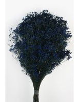 127847da043b83429f60a202209c0155-car-vid2951