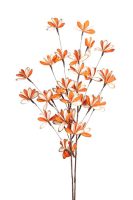 12d5eb87495c4ef773989310da430e03-car-vid2467