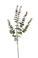 14001c593fc132fbfa1adb522d3fbda1-car-vid456