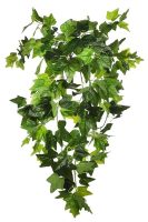 19bcf2ba92af0c6625880677b393a687-car-vid821