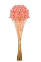 1be59bd03bcd0c6616a9af39401d3ef3-car-vid2331