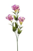 1def274dd977ec70c012295bbcef9e44-car-vid473