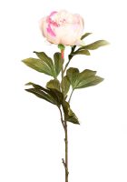 2a2afcab0cc9b57142b871678880e04e-car-vid2339