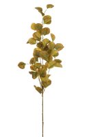 3118866d75918e37877cd7bb66786611-car-vid1959