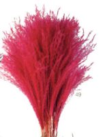 316394f7706806ab4f72d816e60375c8-car-vid2963