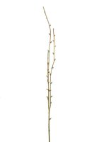 31f2c268471f2e78032d94b4ef2aa6da-car-vid817