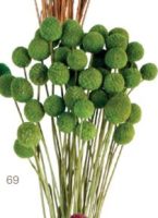 3356922da885d10a34f8e855a54fdce7-car-vid2868