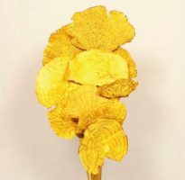 369e0fdf99d7333153463974be3408d1-car-vid1279